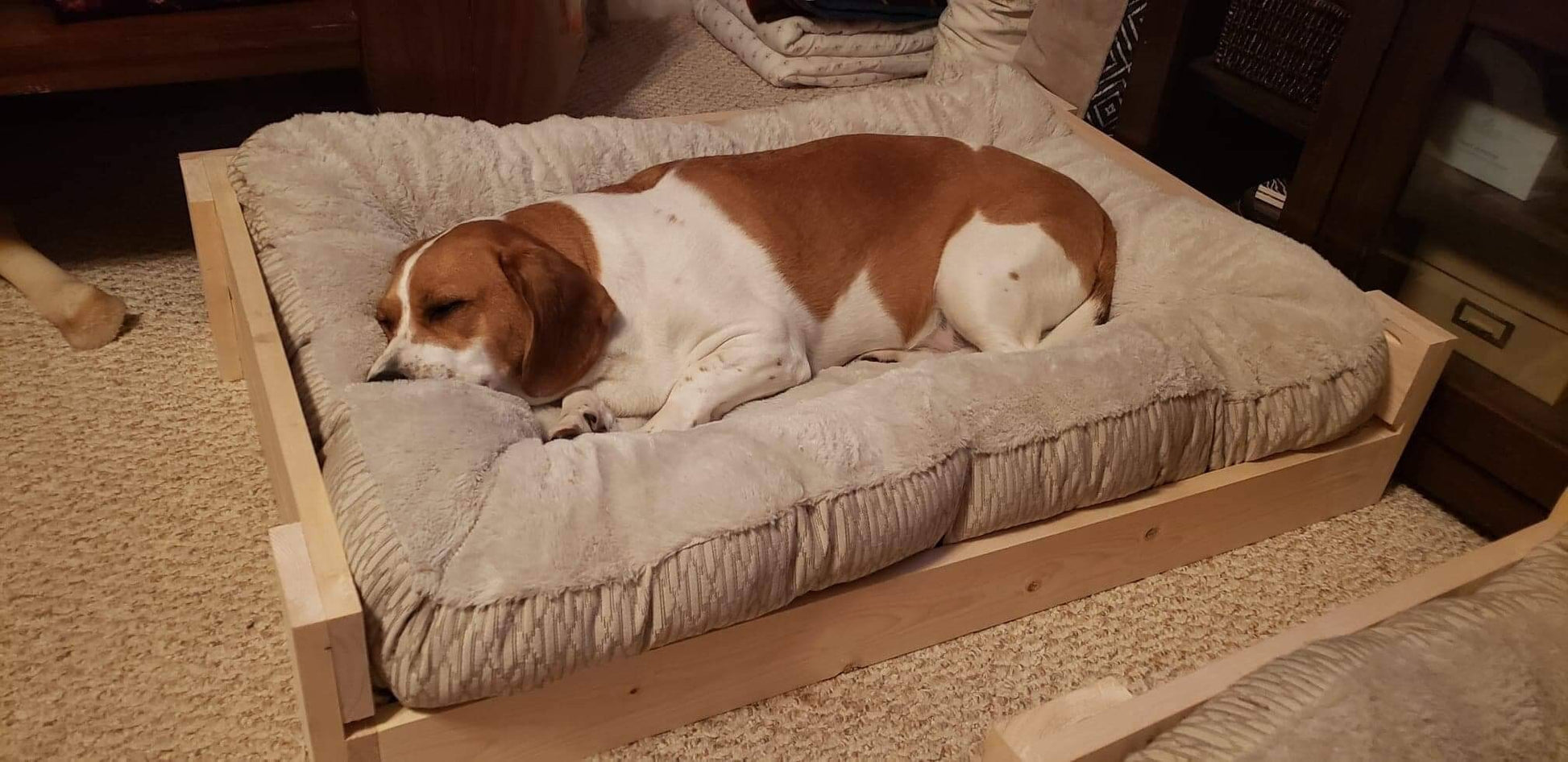 Handmade custom rustic wooden crate vintage style dog bed, pet bed, pet furniture, cat furniture, cat bed
