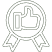 A small gold ribbon badge icon with a thumbs-up inside, used as a generic approval or quality mark.