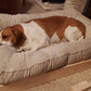 Handmade custom rustic wooden crate vintage style dog bed, pet bed, pet furniture, cat furniture, cat bed