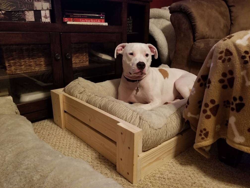 Handmade custom rustic wooden crate vintage style dog bed, pet bed, pet furniture, cat furniture, cat bed